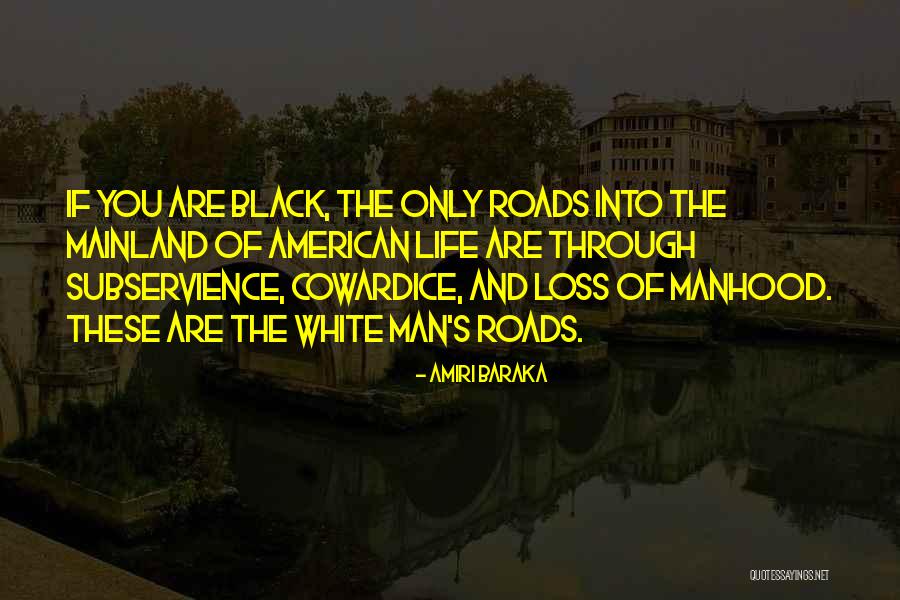 Julia Shumway Quotes By Amiri Baraka Julia Shumway Quotes By Amiri Baraka
