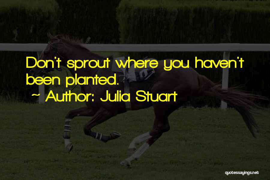 Julia Stuart Quotes 2224698