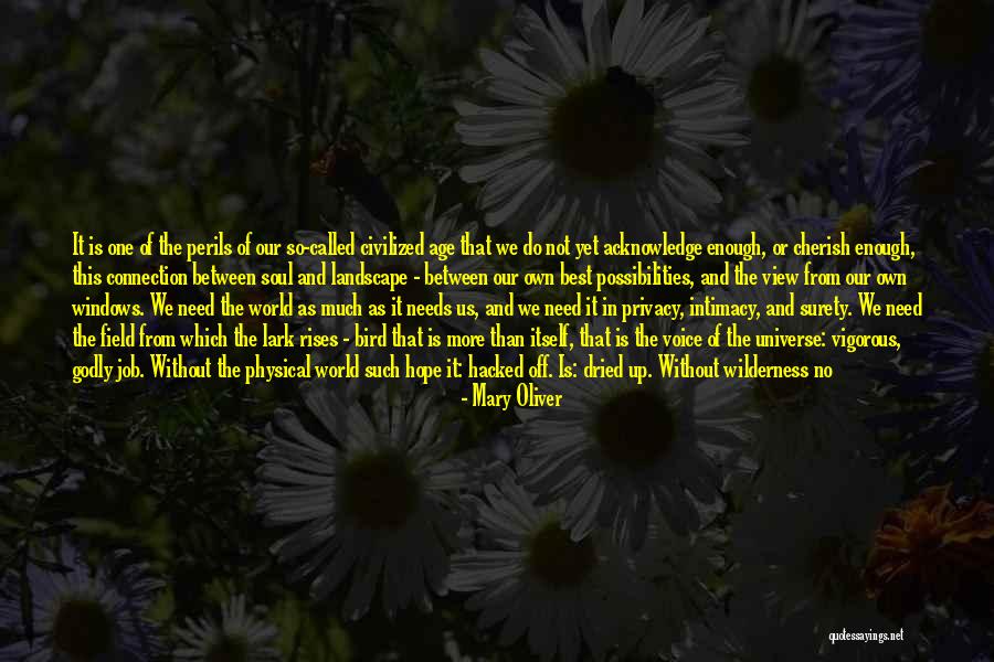 Julia Tuttle Quotes By Mary Oliver Julia Tuttle Quotes By Mary Oliver