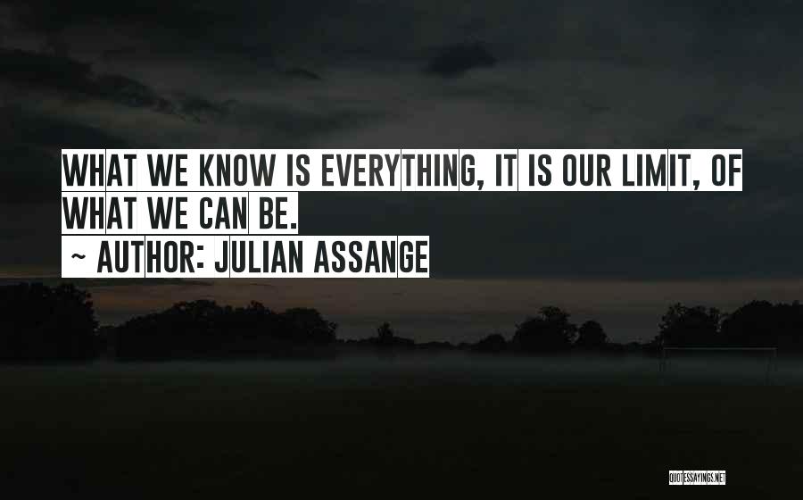 Julian Assange Quotes 143423
