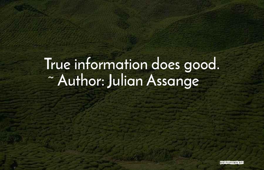 Julian Assange Quotes 1639653