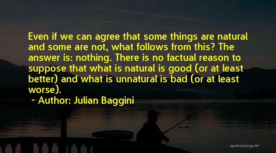 Julian Baggini Quotes 1066740