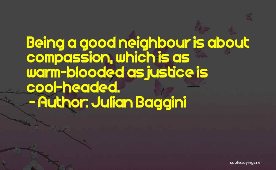 Julian Baggini Quotes 1691844