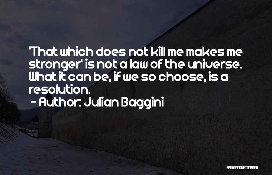 Julian Baggini Quotes 302521