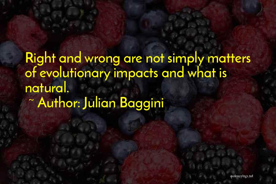 Julian Baggini Quotes 700110