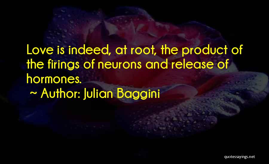 Julian Baggini Quotes 964960