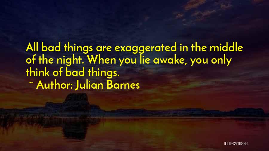 Julian Barnes Quotes 1490242