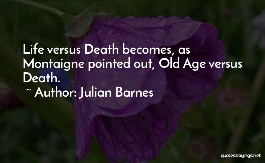 Julian Barnes Quotes 1904503