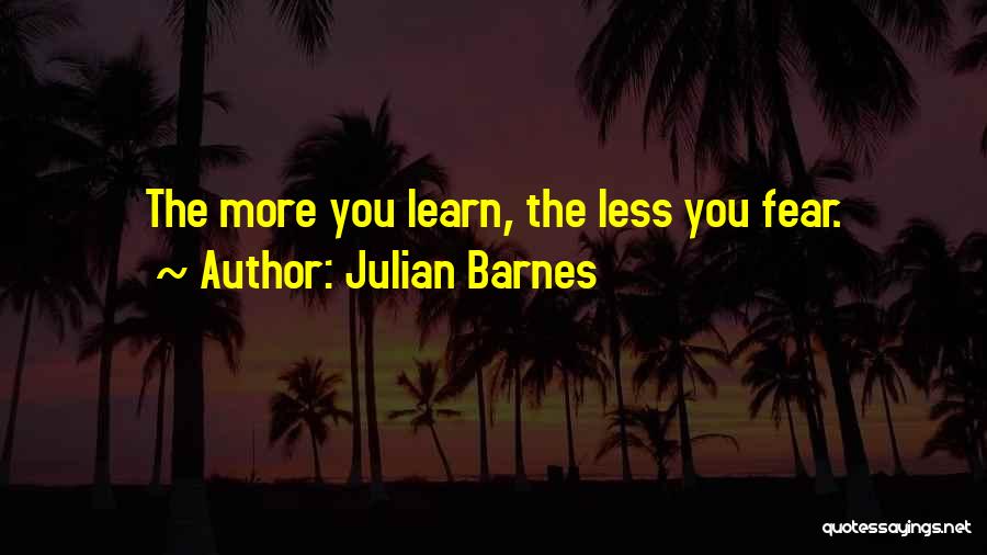 Julian Barnes Quotes 2085474