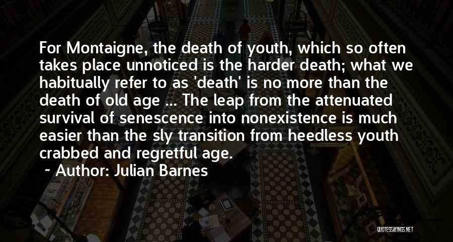 Julian Barnes Quotes 300491