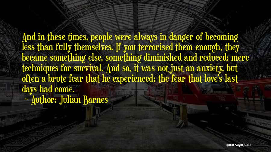 Julian Barnes Quotes 463644