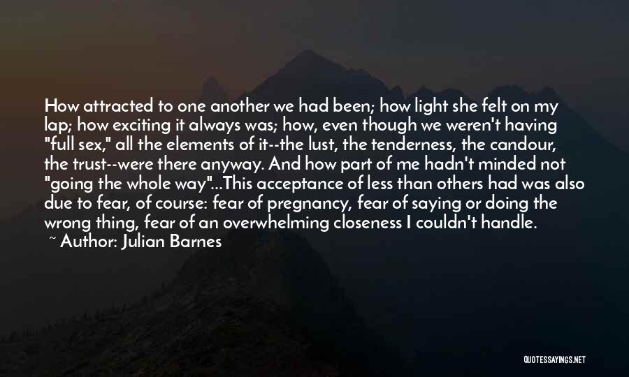 Julian Barnes Quotes 511561