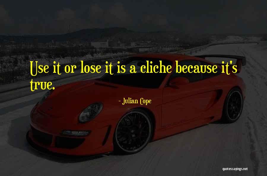 Julian Cope Quotes 1187648