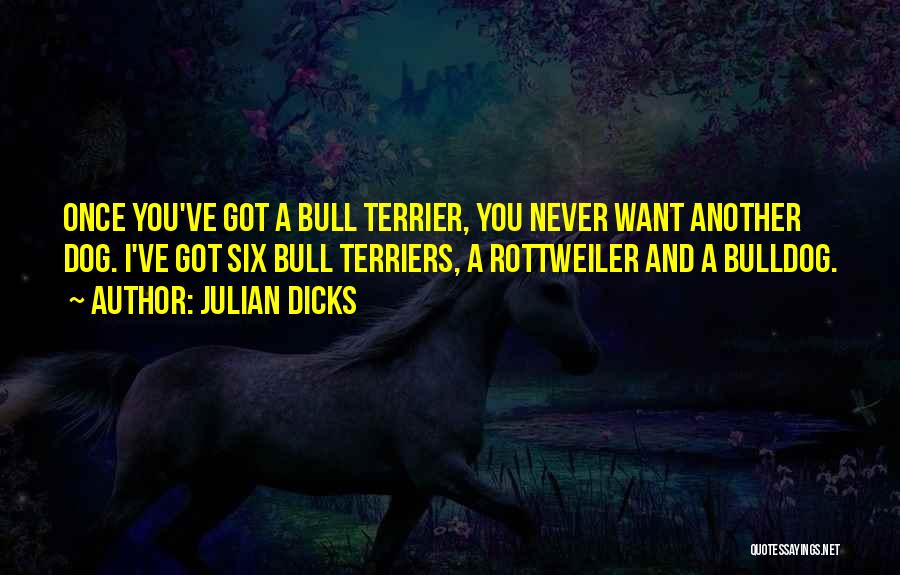 Julian Dicks Quotes 1108362