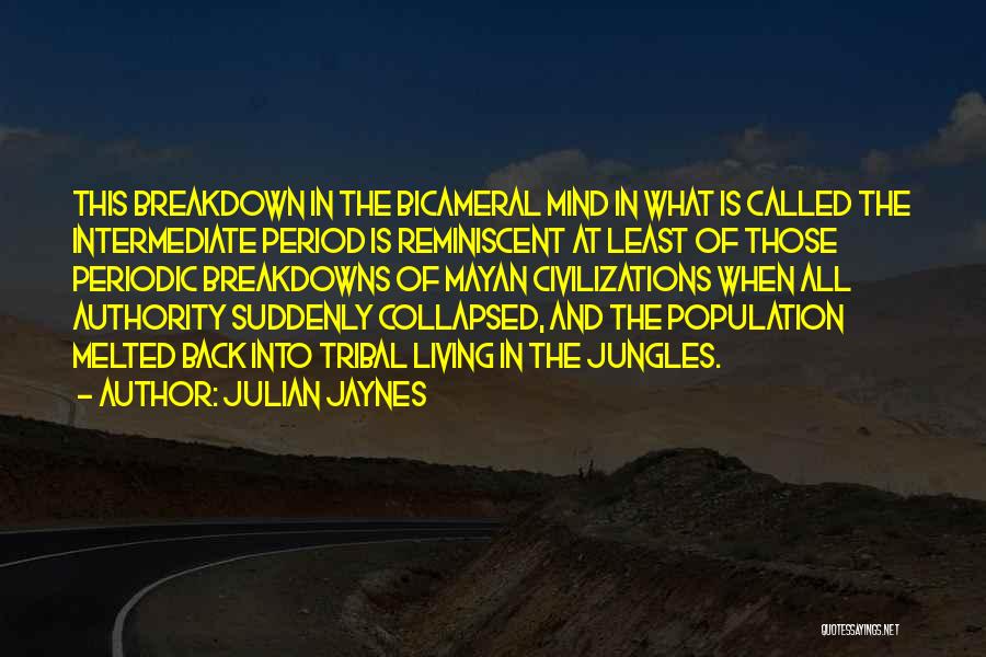 Julian Jaynes Quotes 799186