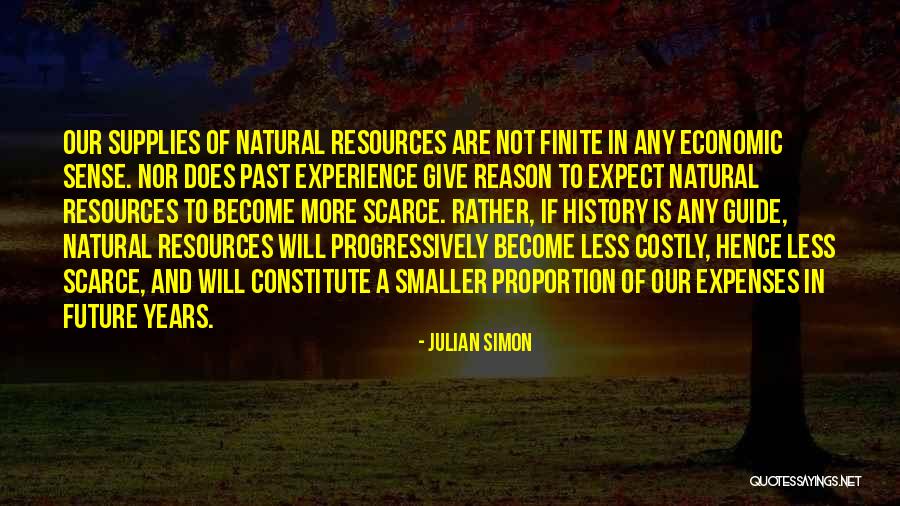 Julian Simon Quotes 281966