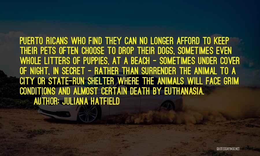 Juliana Hatfield Quotes 1234411