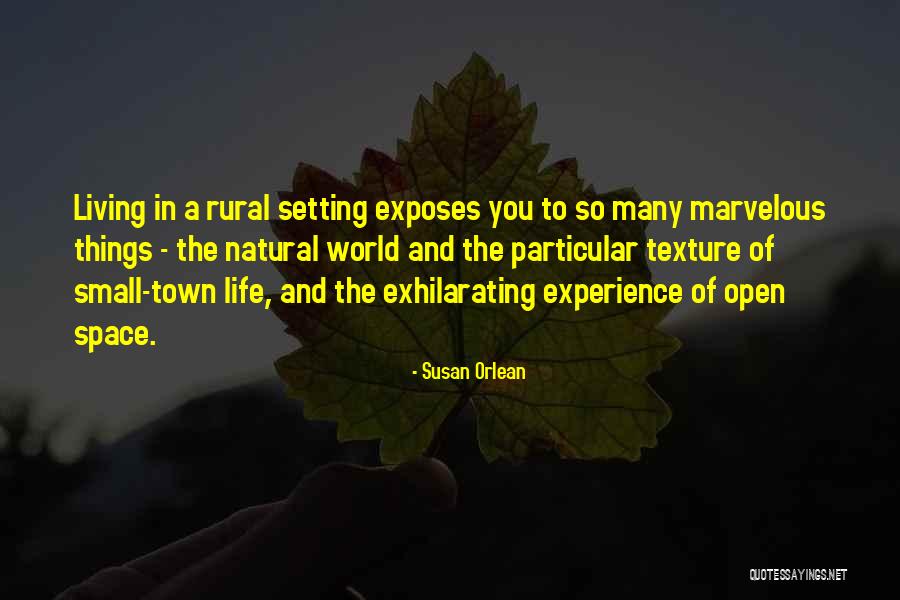 Julie Chu Quotes By Susan Orlean Julie Chu Quotes By Susan Orlean