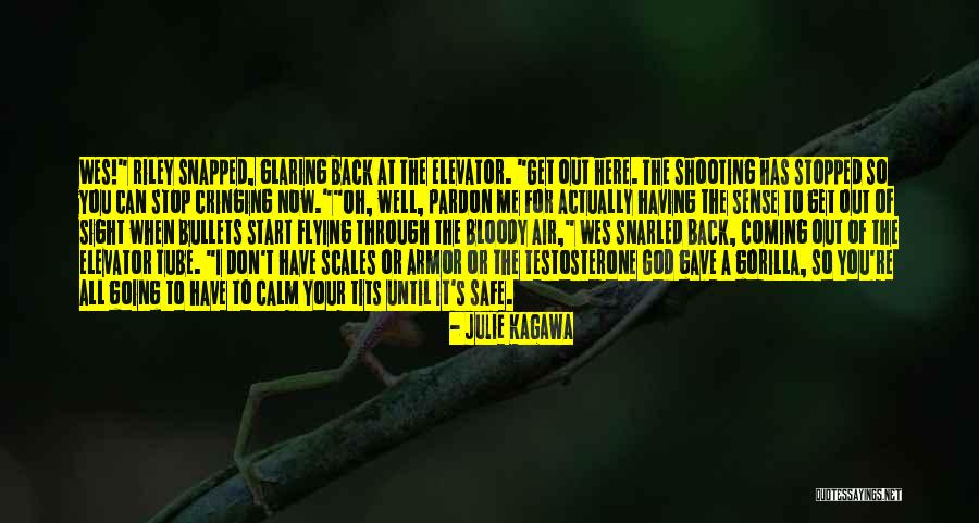 Julie Kagawa Quotes 1164304