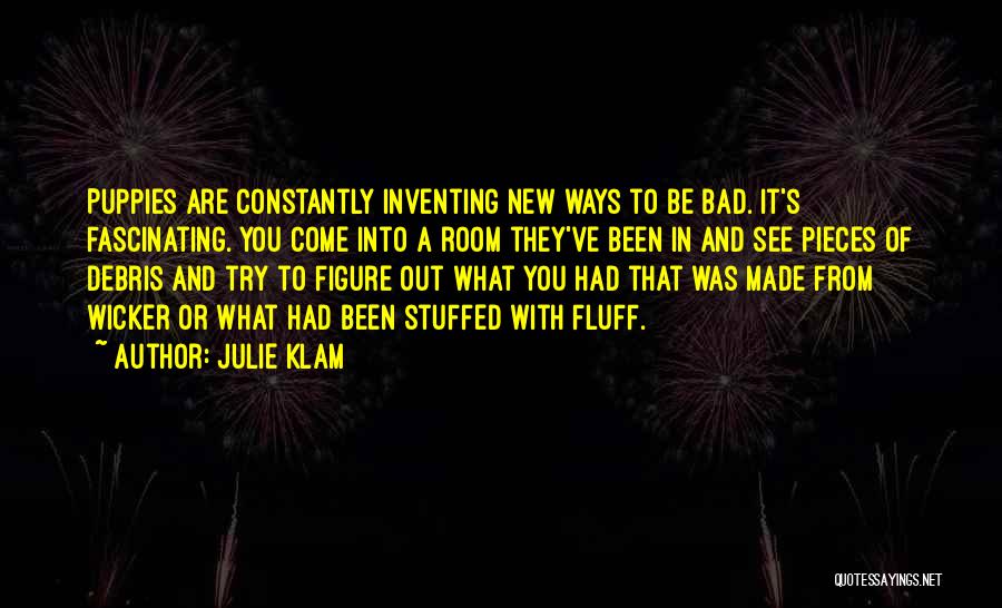 Julie Klam Quotes 1690991