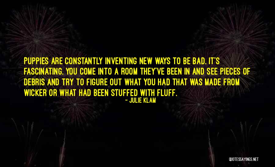 Julie Klam Quotes 1690991 Julie Klam Quotes 1690991