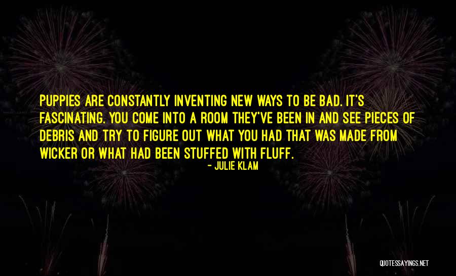 Julie Klam Quotes 1690991