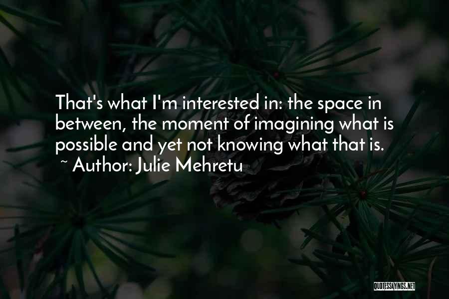 Julie Mehretu Quotes 1120808