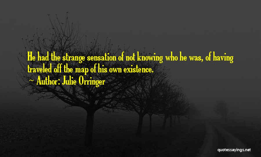 Julie Orringer Quotes 1599326