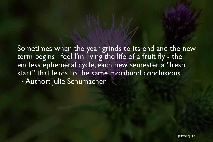 Julie Schumacher Quotes 2201408