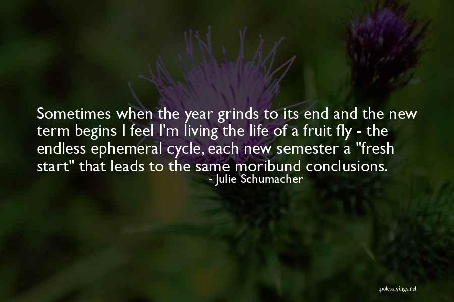 Julie Schumacher Quotes 2201408