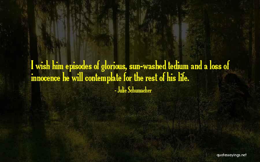 Julie Schumacher Quotes 697741 Julie Schumacher Quotes 697741