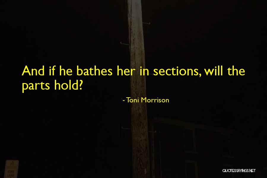 Julieanne Dimitrion Quotes By Toni Morrison Julieanne Dimitrion Quotes By Toni Morrison
