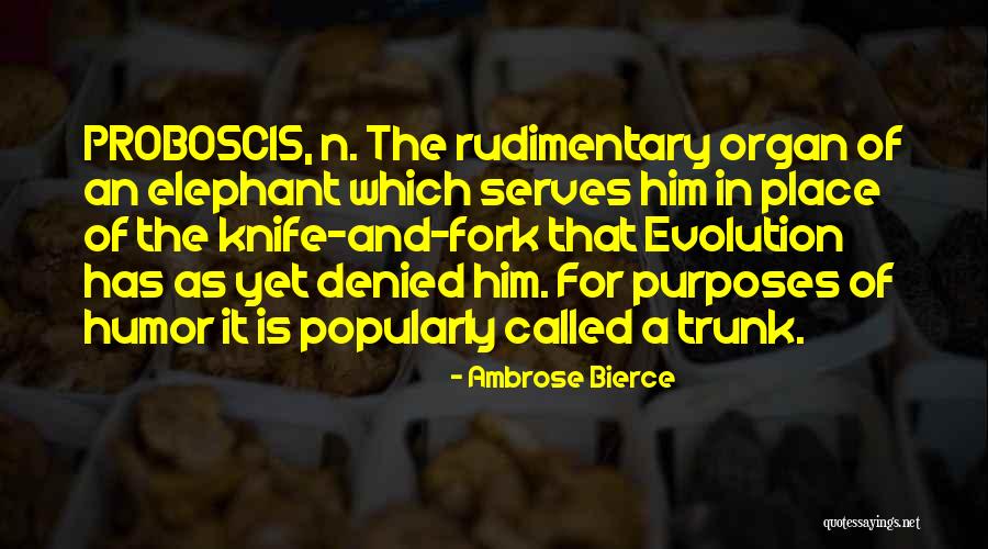 Julieanne Kost Quotes By Ambrose Bierce Julieanne Kost Quotes By Ambrose Bierce