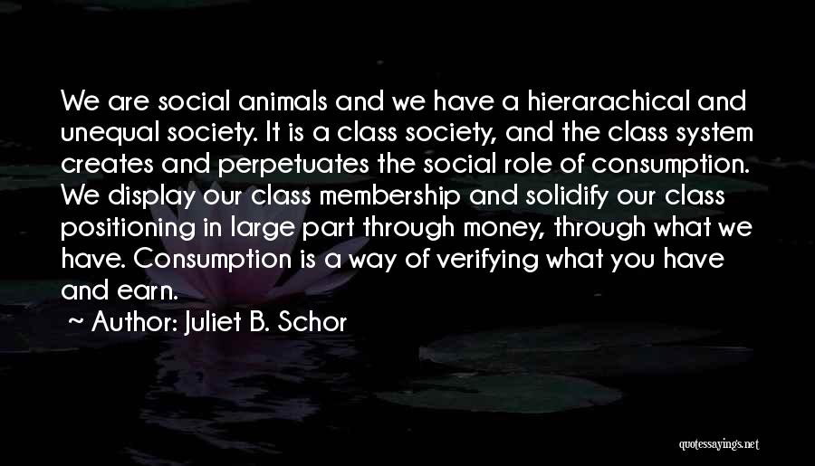 Juliet B. Schor Quotes 405356