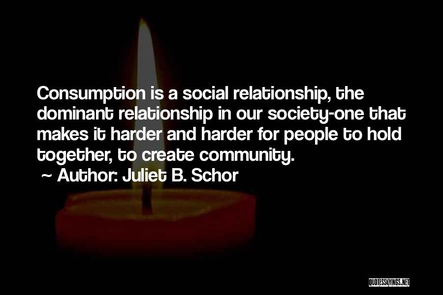 Juliet B. Schor Quotes 622636