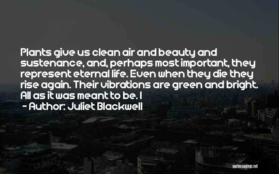 Juliet Blackwell Quotes 97022