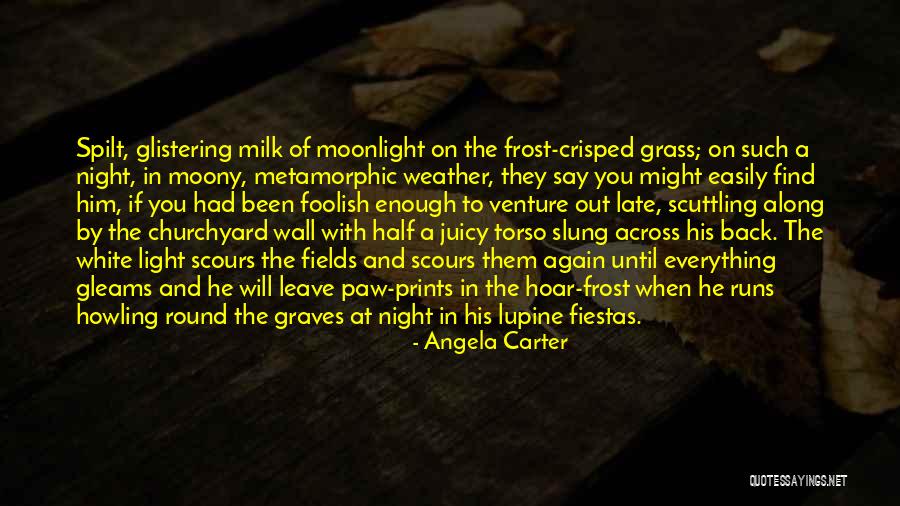 Julieta Almodovar Quotes By Angela Carter Julieta Almodovar Quotes By Angela Carter