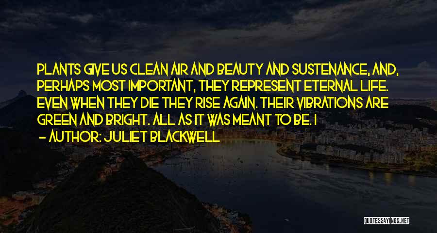 Juliet's Beauty Quotes By Juliet Blackwell