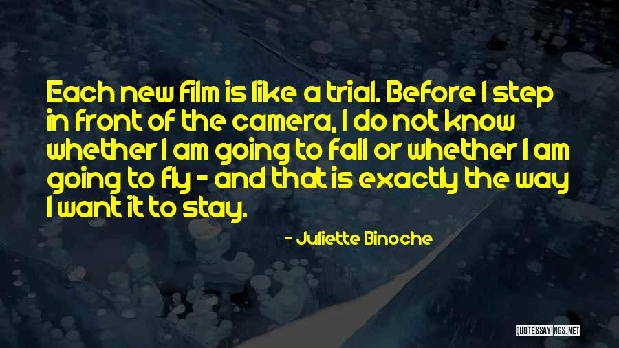 Juliette Binoche Quotes 1762415