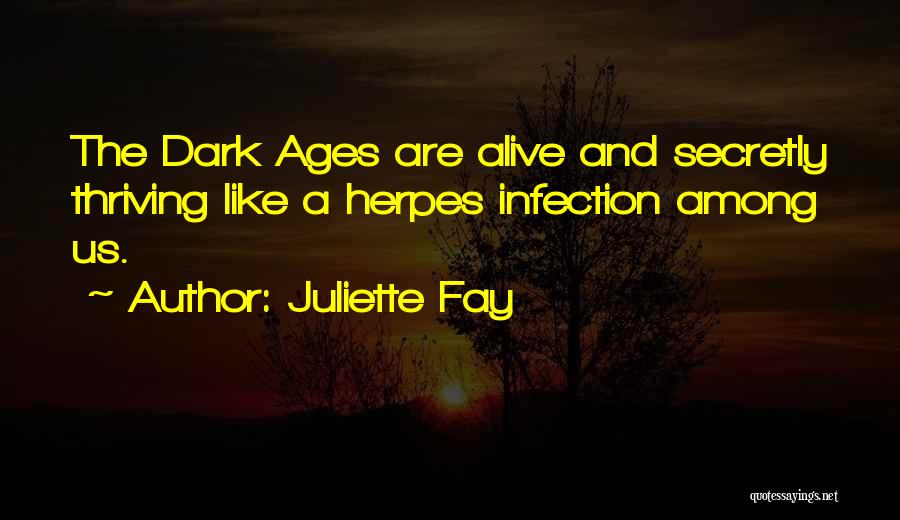 Juliette Fay Quotes 130760