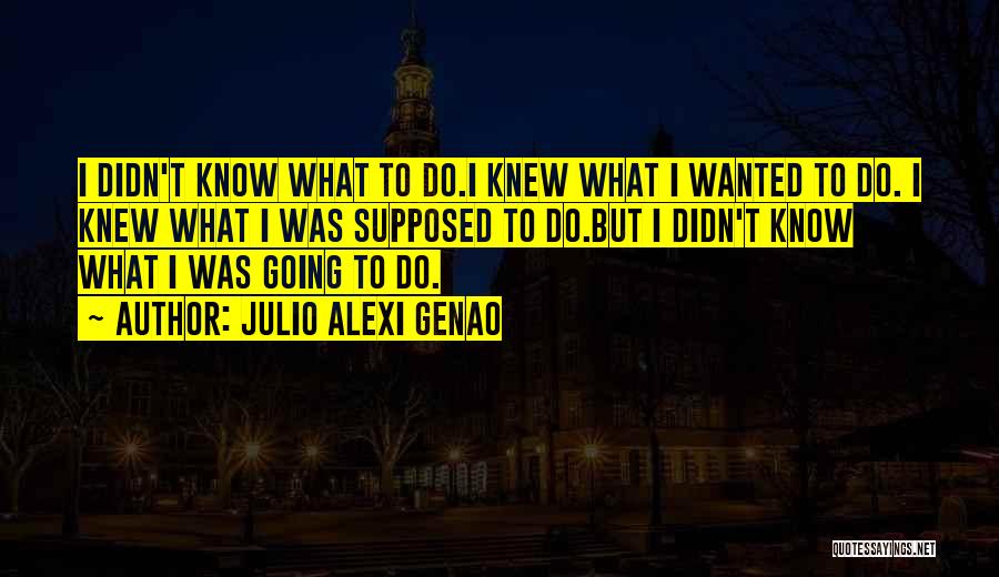 Julio Alexi Genao Quotes 144624