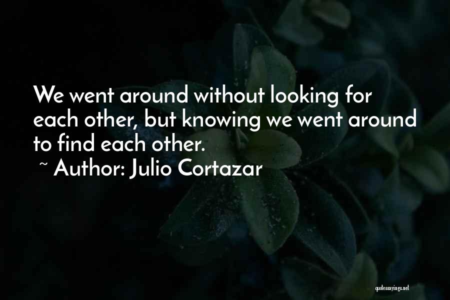 Julio Cortazar Quotes 1005314