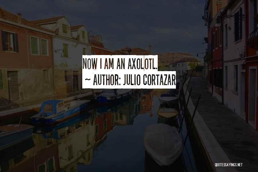 Julio Cortazar Quotes 1369326