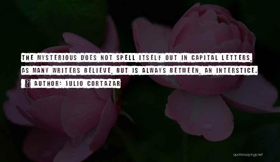 Julio Cortazar Quotes 1556988