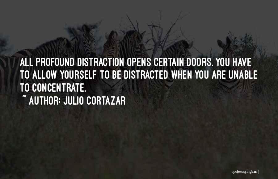 Julio Cortazar Quotes 1713574