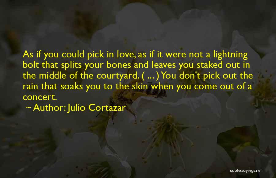 Julio Cortazar Quotes 1763571