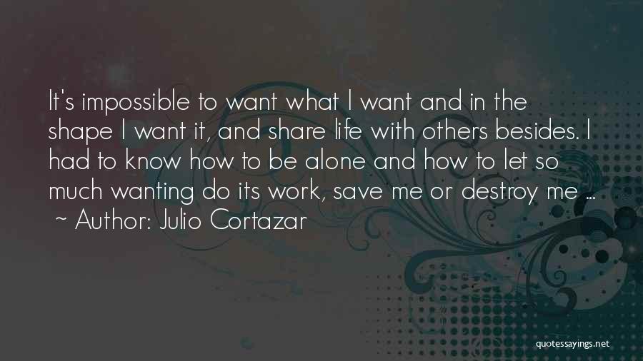 Julio Cortazar Quotes 1799904