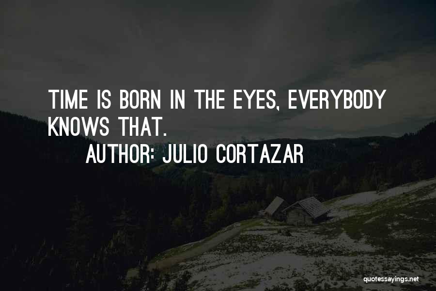 Julio Cortazar Quotes 320008