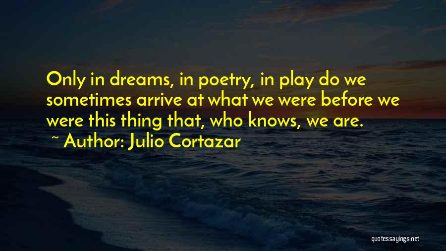 Julio Cortazar Quotes 334647