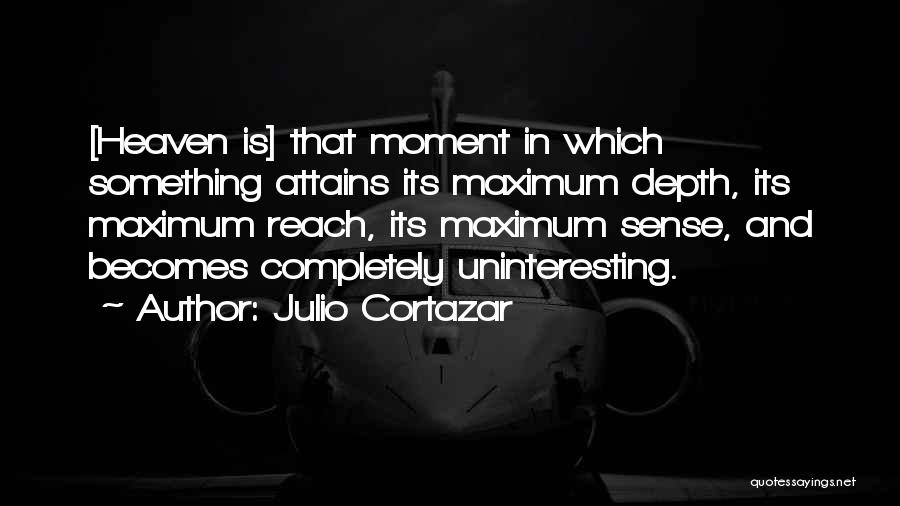 Julio Cortazar Quotes 338498